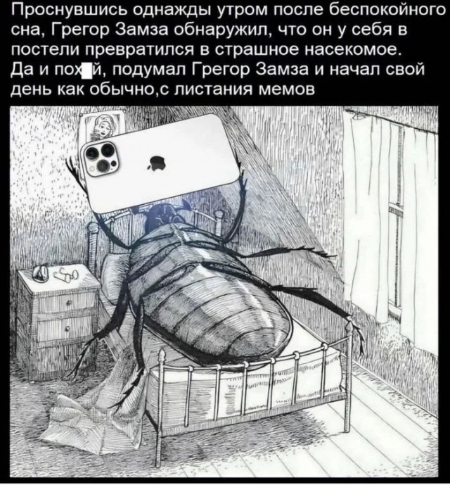 картинка ea1577c108 20789202