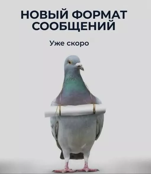 картинка ec5fe426db 20775556