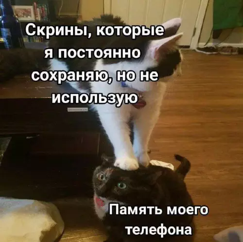 картинка ed59f45e51 nakonec to pjatnica grandioznyj sbornik prikolov 6