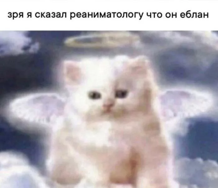 картинка eef52ae057 chernyj jumor v memah dlja teh kto ne boitsja smejatsja nad tem nad chem ne polozheno 21