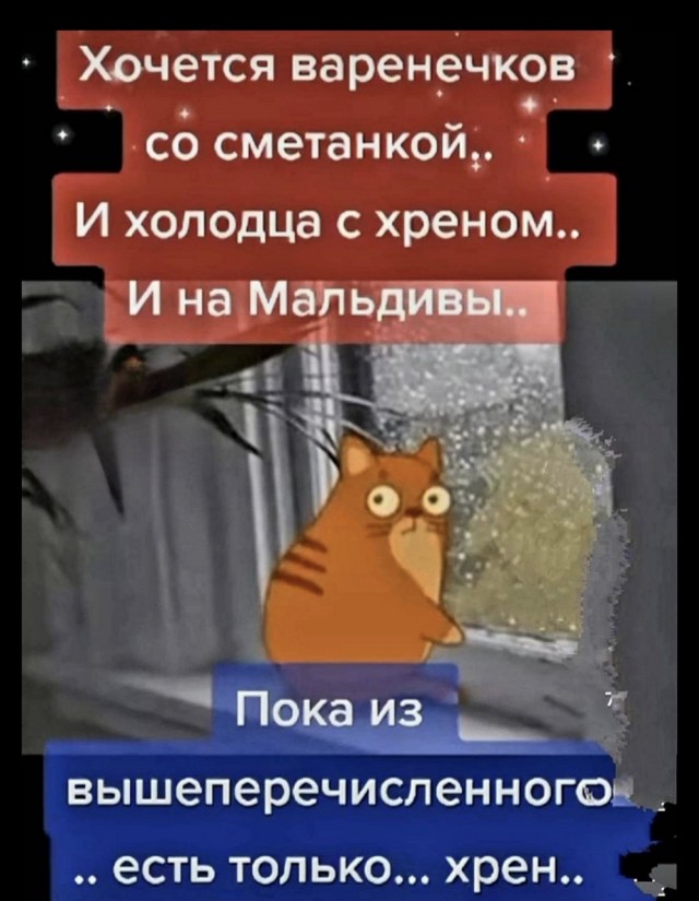 картинка ef3d2d5a19 20811268