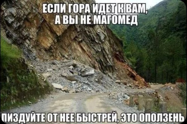 картинка f1880fd1bb 20831678