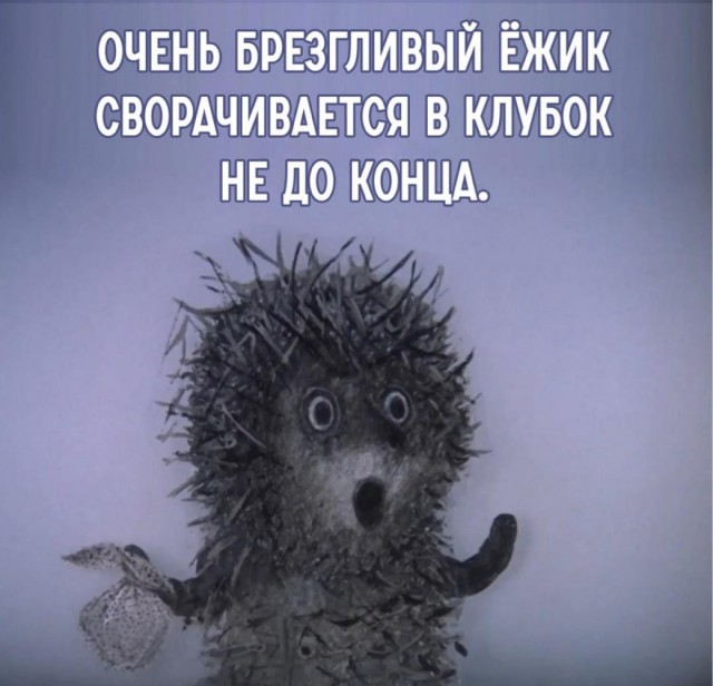 картинка f214b06c81 20829793