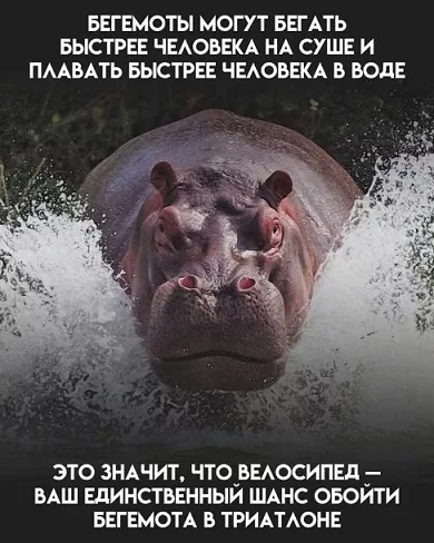 картинка f32064c36f 20760745