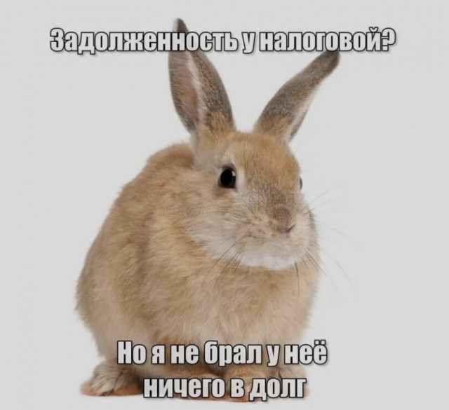 Устал от скуки? Хочется улыбнуться? Тогда тебе сюда! собрали, грусть, делись, смейся, Листай, время, любое, работают, шутки, хандру, Забудь, огромную, настроение, поднимут, точно, которые, мемов, уморительных, свежих, самых