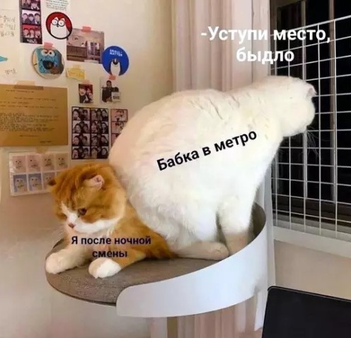 картинка f4b0eef8ec utro nachinaetsja s ulybki luchshie memy chtoby zarjaditsja pozitivom 4