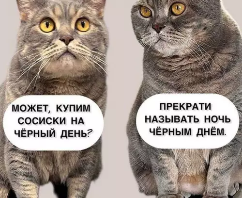 картинка f4c3caa2e5 20832847