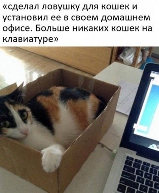 картинка f63efd6960 20789205