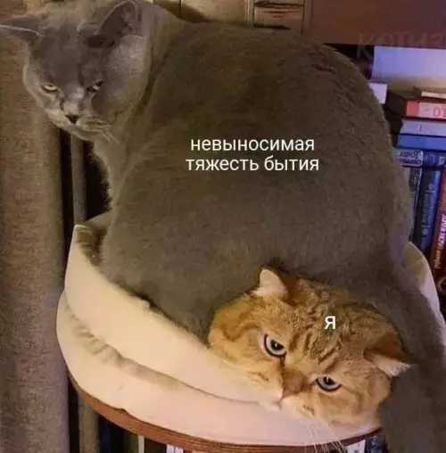 картинка fa19480077 20832889