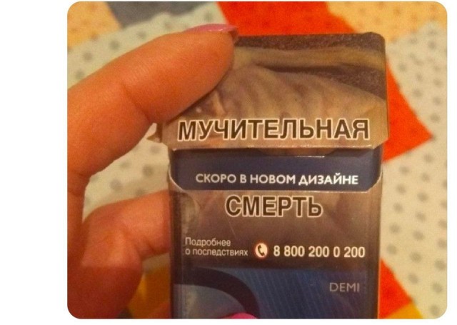 картинка ffe9fd1f3b 20831998