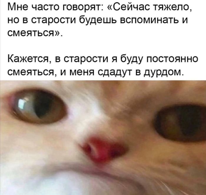 Пятница! 🎉 Самый, смеха, позитивной, выходные, встретим, Давайте, настроение, поднимут, точно, которые, надписями, картинки, уморительные, актуальные, самые, взрыву, долгожданный, Готовьтесь, приколов, свежайших