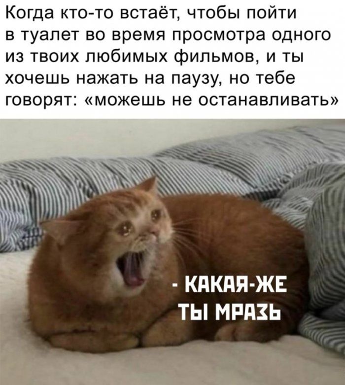 картинка 02292537b2 chernyj jumor dlja teh kto ne boitsja zagljanut za gran 27