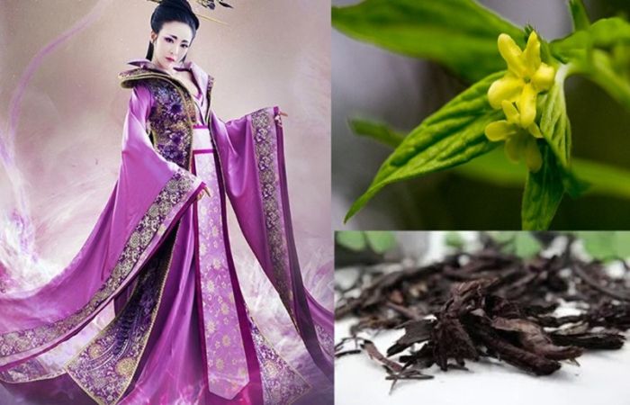 картинка 03e50ab8b9 v chem sekret purpura kotoryj byl simvolom absoljutnoj vlasti 6