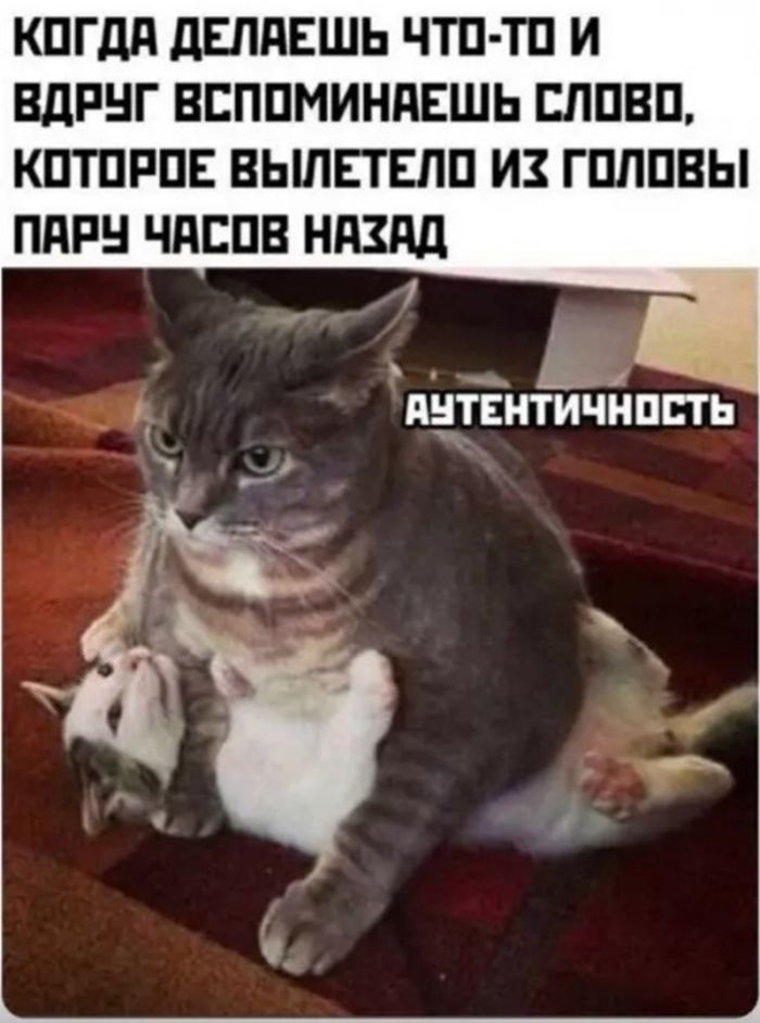 картинка 05159b0d0d chernyj jumor dlja teh kto ne boitsja zagljanut za gran 6