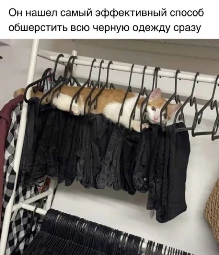 картинка 053d21f067 20875341