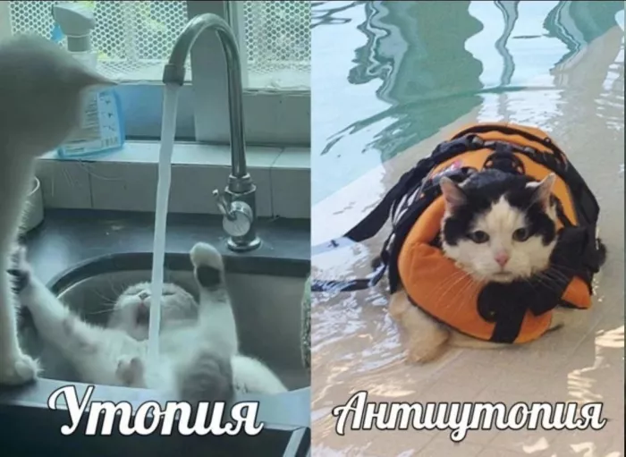 картинка 072d5e73bf gotovtes smejatsja do slez 6