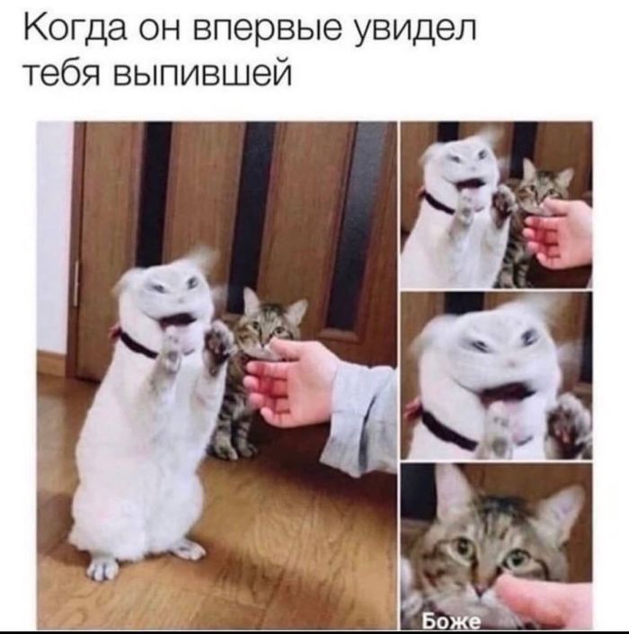 картинка 07a4bc1aa0 00000