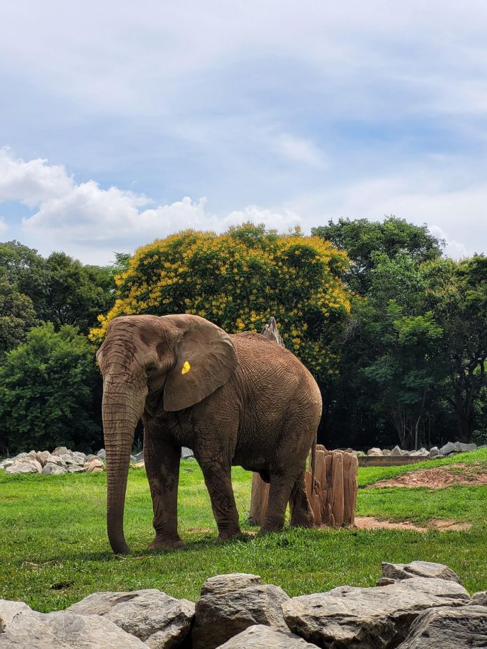 картинка 07aab8194b vstrechajte vasha porcija pozitiva uzhe zdes 1