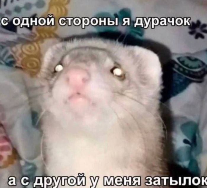 картинка 0ad6a1237d 00000000000000