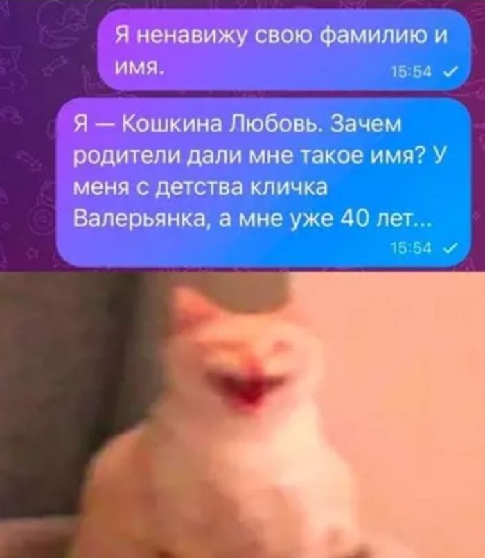 картинка 0c67ee95a2 ustali ot skuchnyh shutok hotite chego to poostree i posmelee togda jetot sbornik dlja vas 19