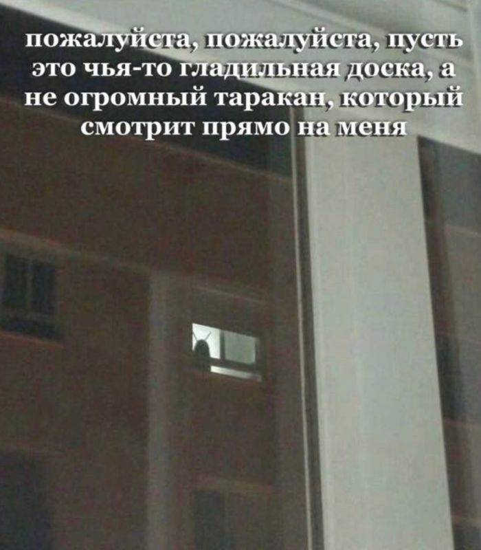 картинка 0c7874bef4 vstrechajte vasha porcija pozitiva uzhe zdes 10