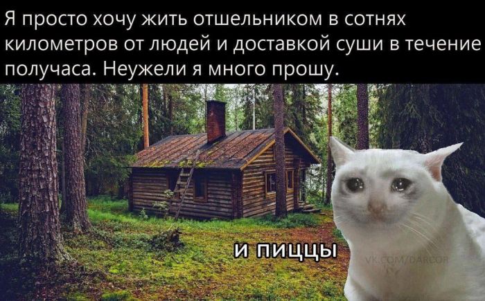 картинка 0eb03a92fb 1774157069