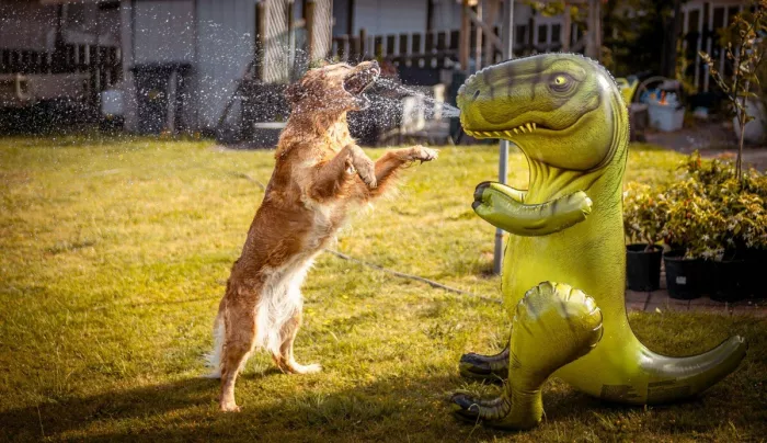 картинка 10534e18e2 bolshoj sbornik svezhajshih prikolov na malenkuju pjatnicu 4