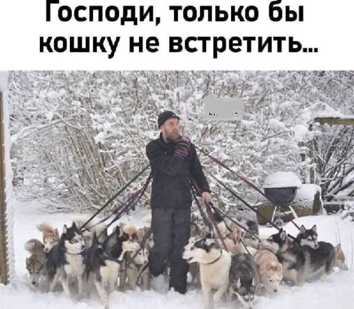 картинка 148e4872ba ischesh kak podnjat sebe nastroenie luchshee reshenie zdes 9