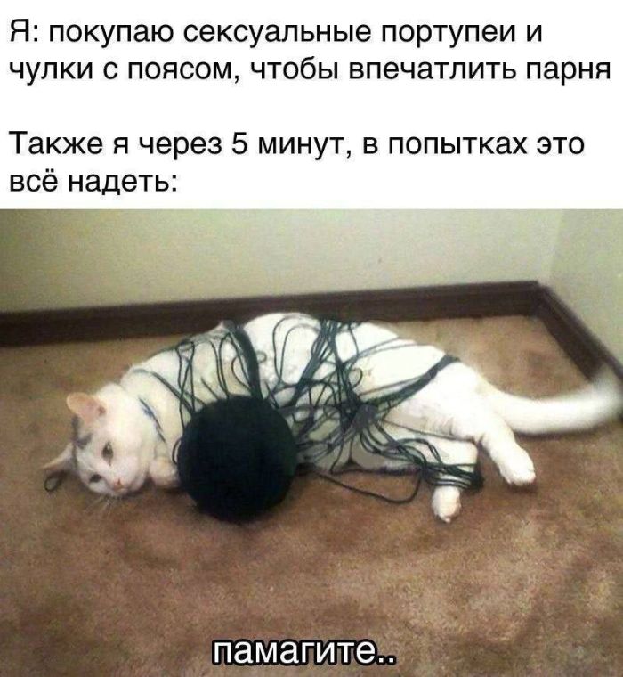 картинка 1573873a06 vnimanie ljubiteli ostryh oschuschenij i teh kto ne boitsja perestupit chertu 14