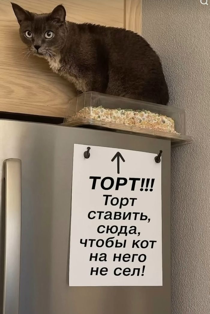 картинка 162791bc2c jekskljuziv otbornye prikoly v memah i kartinkah tolko dlja vas 14