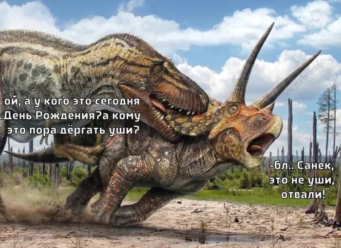 картинка 163be89a4d gotovtes smejatsja do slez 7