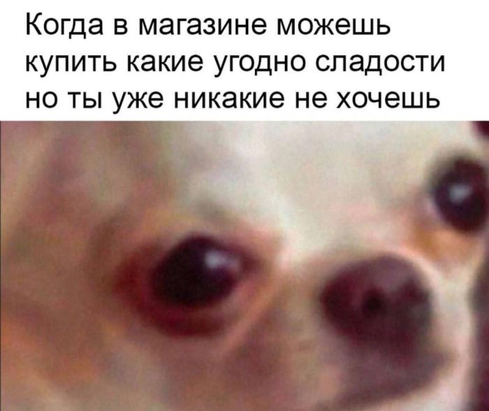 картинка 176c960149 00000000