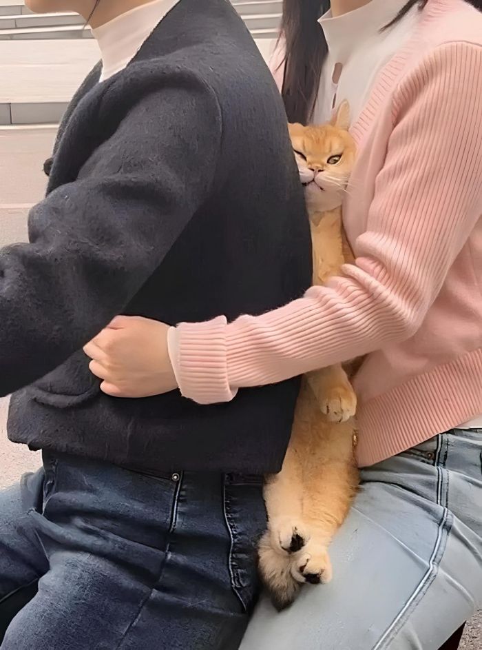 картинка 1b2c38d3c3 vstrechajte vasha porcija pozitiva uzhe zdes 2