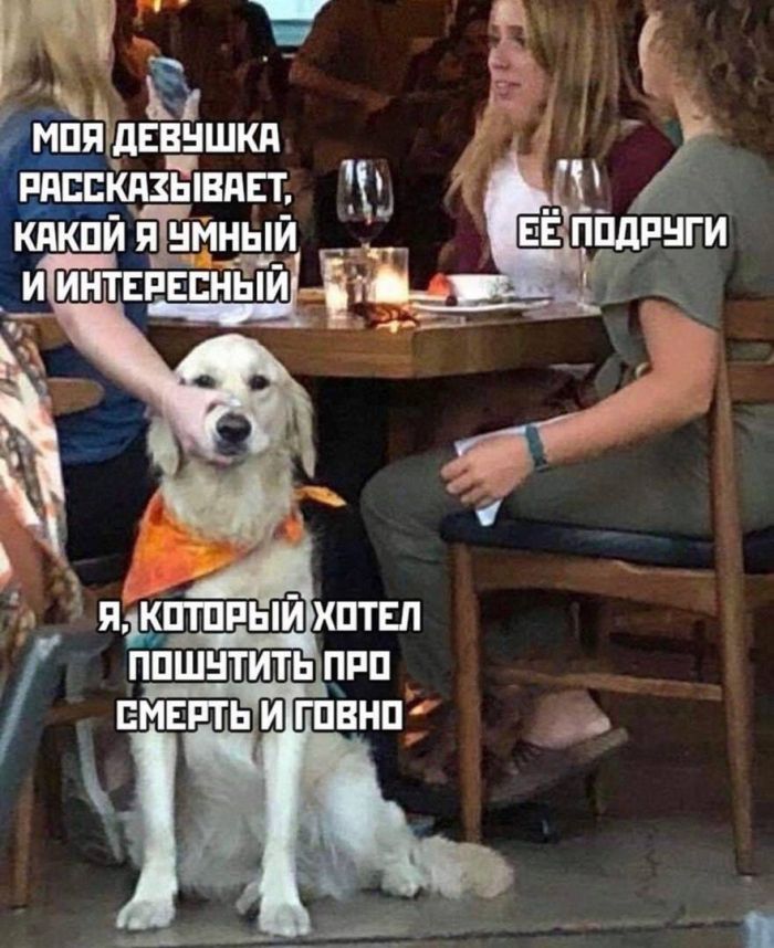 картинка 1b64b9b2dc 0000000000000000