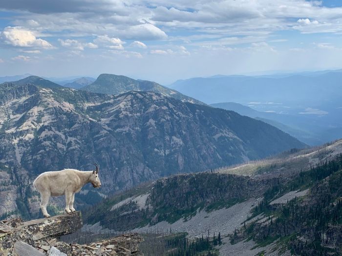 картинка 1b6de2fce0 lovite pozitivchik podborka svezhih shutok i memov dlja vashej malenkoj pjatnicy 14