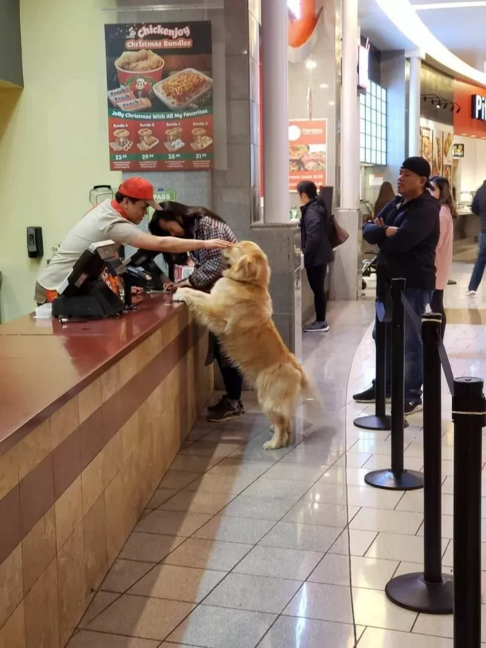 картинка 2294b62e76 bolshoj sbornik svezhajshih prikolov na malenkuju pjatnicu 13