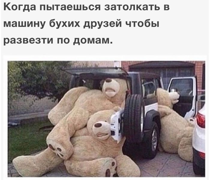 картинка 24e26baef8 malenkaja pjatnica jeto ne mif a realnost i ona uzhe v jetu sredu 6