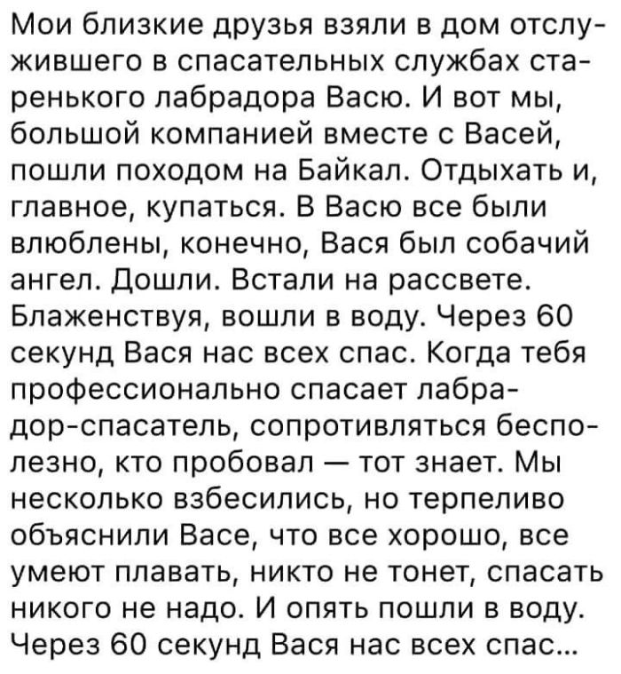 картинка 29b38090ff vash lichnyj sbornik pozitiva memy kartinki i kommentarii 8