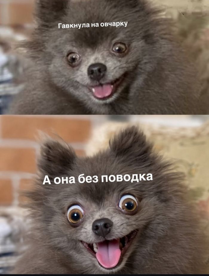 картинка 2d08a706fe 1774538891