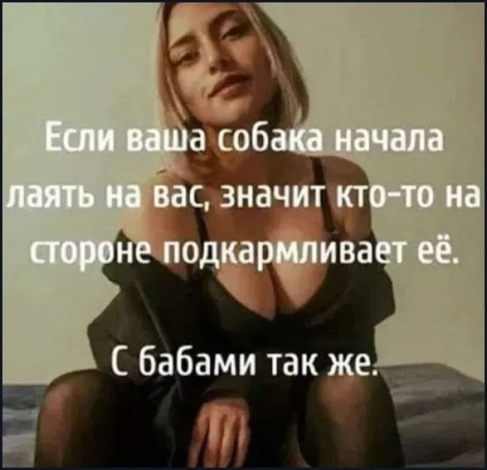 картинка 301800acf6 vnimanie ceniteli ostrogo jumora 36