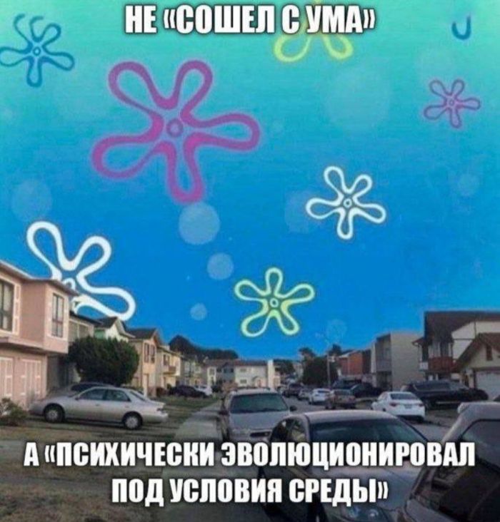 картинка 31e00a0716 20875414