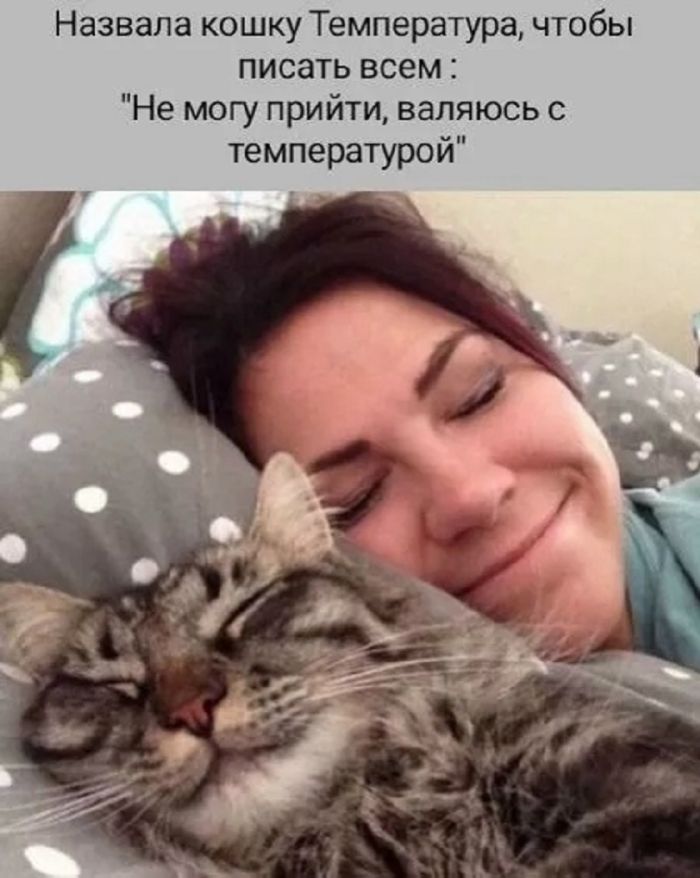 картинка 321efa9aee 20875367