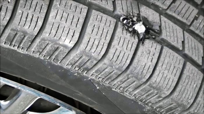 Ремонт прокола без снятия колеса своими руками