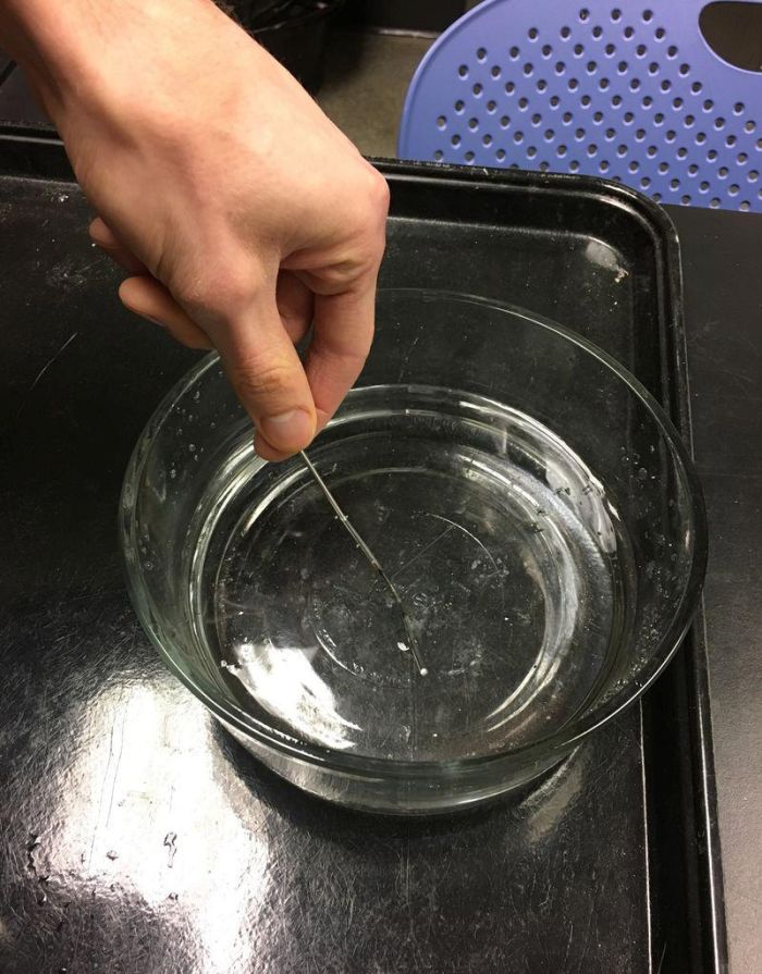 картинка 3471af1016 kak zakalit stal nagljadnyj jeksperiment 7