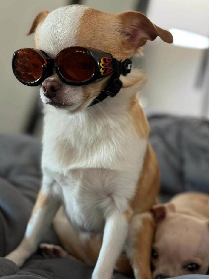 картинка 34d6c76c1d pjatnica ulybaemsja i mashem 8