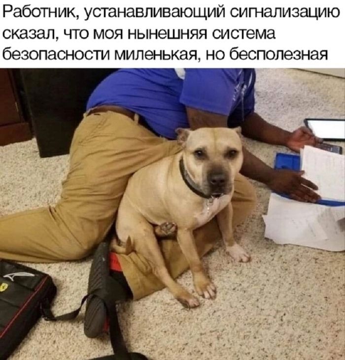 картинка 36166fe105 20875358