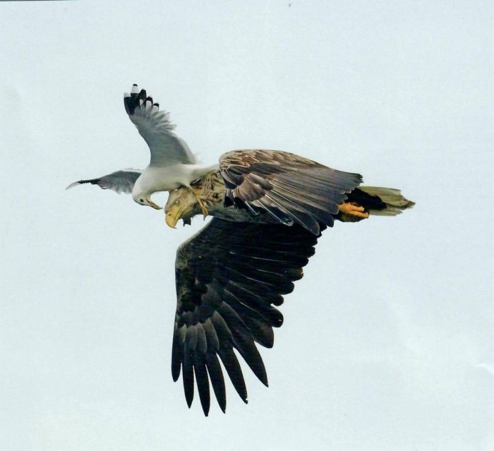 картинка 364f018778 pjatnica ulybaemsja i mashem 7