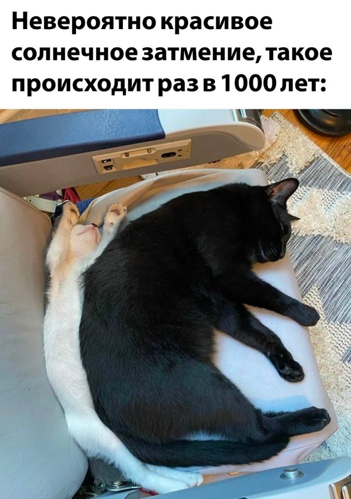 Взрыв позитива: лучшие мемы для ваших выходных