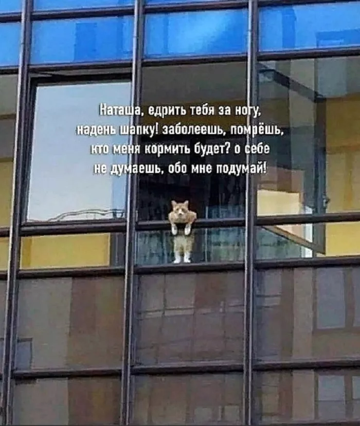 картинка 3912924523 chernyj jumor v memah dlja teh kto ne boitsja smejatsja nad tem nad chem ne polozheno 10