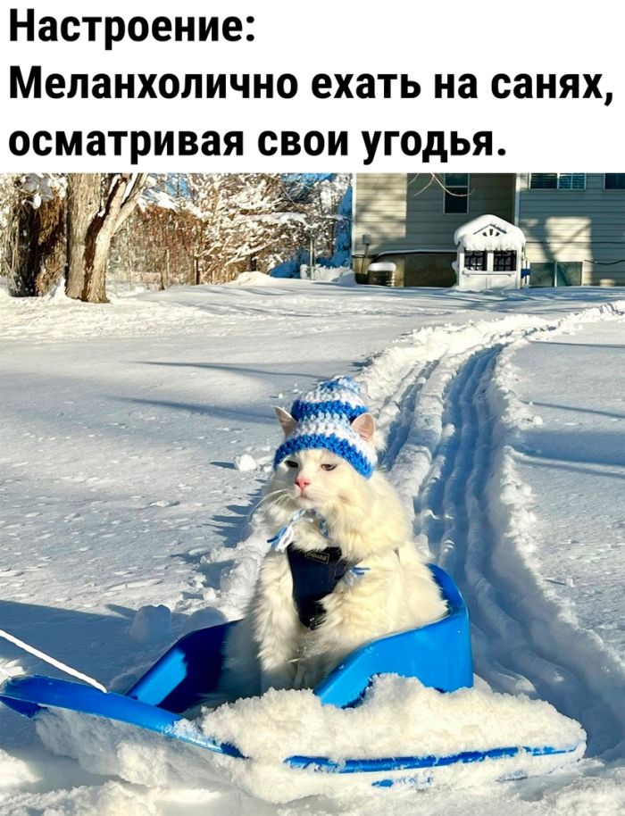 Взрыв позитива: лучшие мемы для ваших выходных